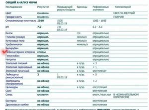 Что такое лейкоцитарная эстераза в моче у грудного ребенка