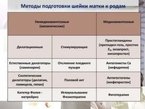 Сколько нужно времени для подготовки шейки матки к родам