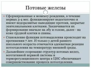 Когда у новорожденных начинают работать потовые железы