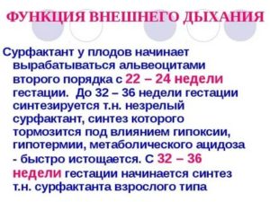 Когда вырабатывается сурфактант у плода