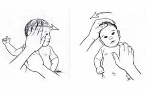 Как правильно делать массаж головы новорожденному