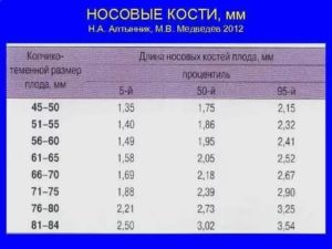 Что такое длина костной части спинки носа у плода