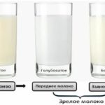 Когда своевременное отхождение околоплодных вод происходит