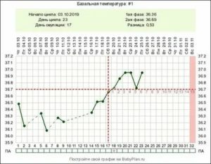 Кто беременел после овуляции на следующий день