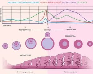 Можно ли беременеть при пониженном прогестероне