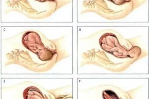 Почему тянет между ног после родов