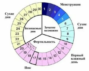 Какова вероятность забеременеть в благоприятные дни зачатия