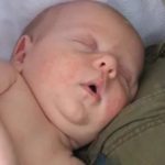 Сколько весит новорожденная касатка